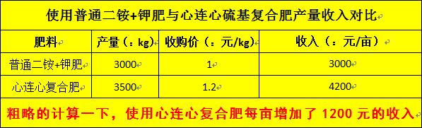 心連心復(fù)合肥最新價(jià)格及成長(zhǎng)變化，自信種子的破土而出