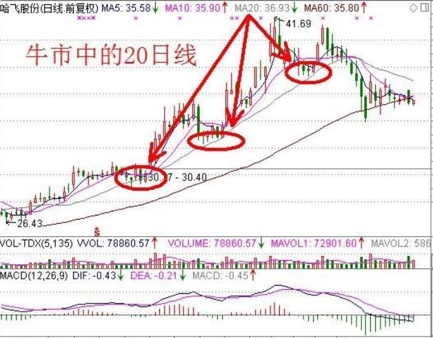 中國鋁業(yè)最新股價(jià),中國鋁業(yè)最新股價(jià)，變化中的機(jī)遇，學(xué)習(xí)中的自信與成就