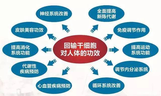 干細(xì)胞最新進(jìn)展與心靈自然之旅，前沿消息揭秘