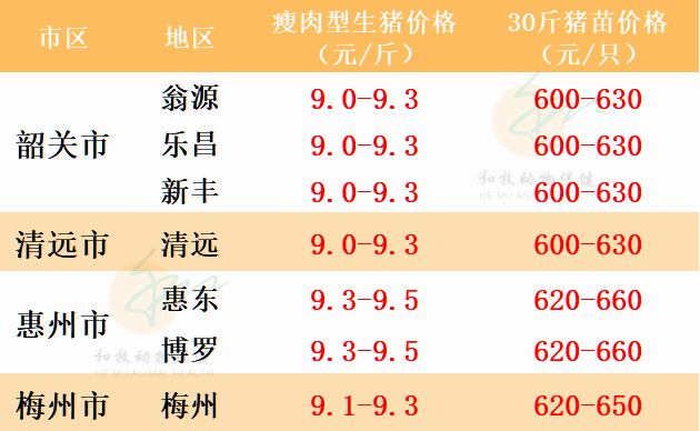 廣東生豬價格最新行情更新，今日豬價走勢分析