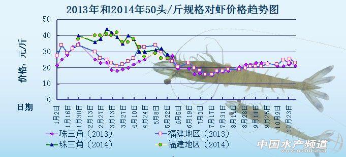 蝦價(jià)格最新行情解析，市場(chǎng)走勢(shì)分析與觀點(diǎn)闡述