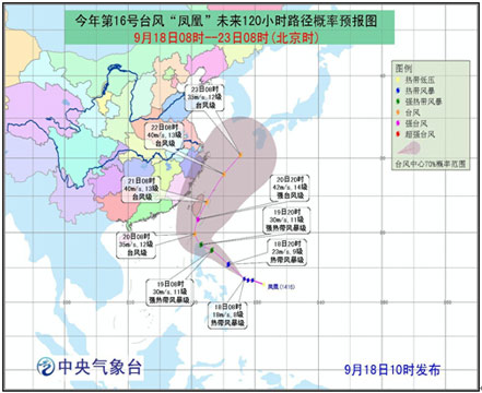 臺風明日動態(tài)更新，最新預報及影響分析