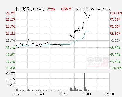 柘中股份最新動態(tài)更新，探索最新消息與進(jìn)展