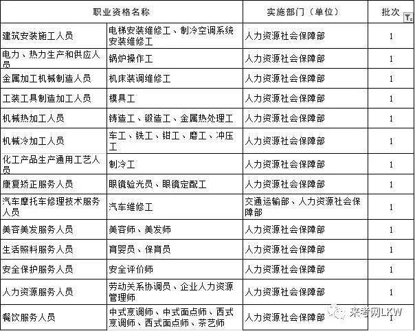 最新國家職業(yè)資格目錄，塑造職業(yè)未來的藍(lán)圖藍(lán)圖揭秘