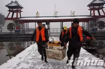 捕魚游戲王最新版本,捕魚游戲王最新版本，深度解析與觀點闡述