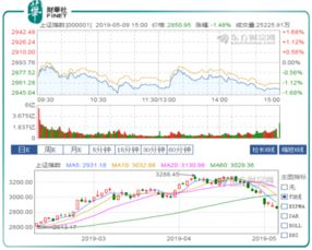 2024年新澳歷史開獎(jiǎng)記錄分析：中獎(jiǎng)趨勢(shì)預(yù)測(cè)