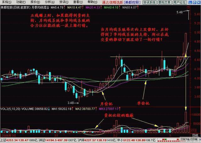 芝麻價格最新行情及深度分析