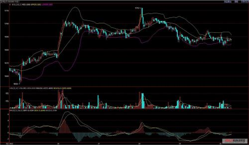 玉米價(jià)格最新行情走勢(shì)圖及分析概述