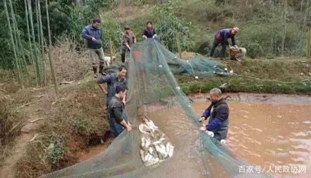 晉城張少波，自然美景中的內(nèi)心平和之旅最新消息