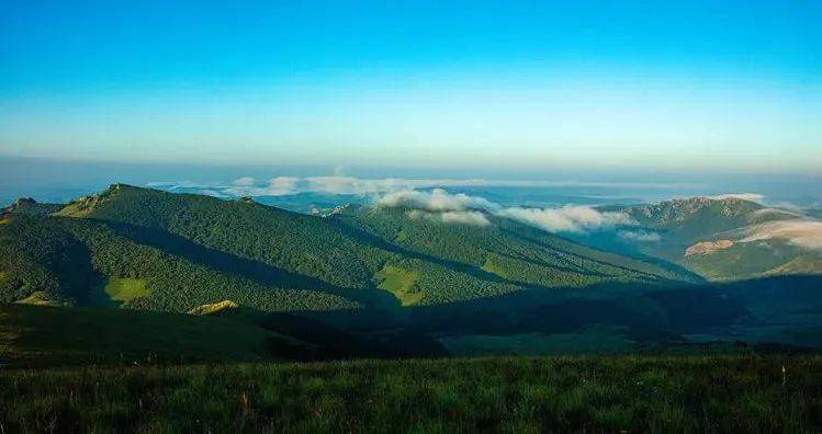 赤峰市林業(yè)局綠色之旅，探索自然美景，尋求內(nèi)心平靜的最新動(dòng)態(tài)