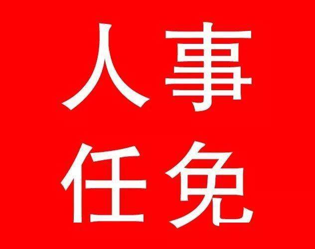 最新各省省委常委任免及解析