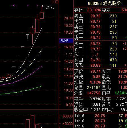 旭光股份最新動(dòng)態(tài)，溫馨日常故事同步更新