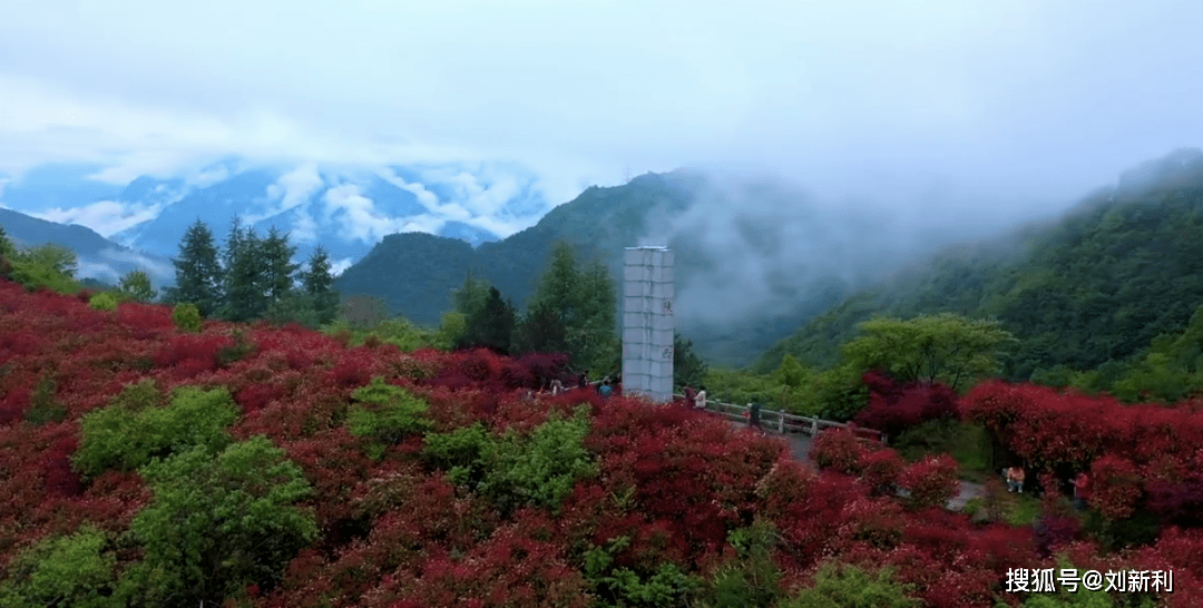 尉氏縣搬遷消息最新,尉氏縣搬遷消息最新，一場自然美景的探索之旅，心靈寧靜的呼喚