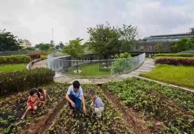 東尼大木最新作品，與自然美景的親密旅行，探尋內(nèi)心平和之地