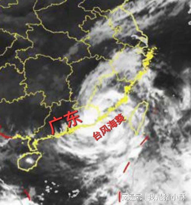 煙花臺風(fēng)最新消息交織的溫馨日常故事