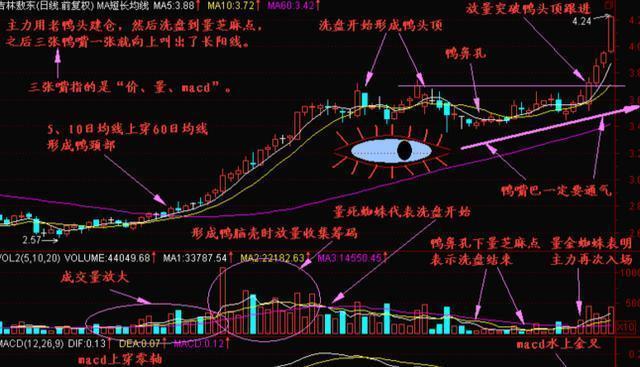 股票五日線和十日線解析，如何觀察與運(yùn)用？