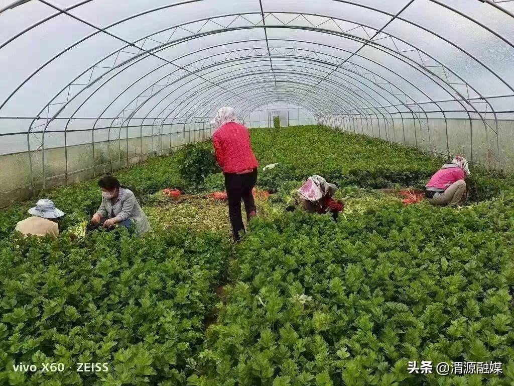 渭源火車站最新實(shí)景圖，啟程一段溫馨有趣的旅程