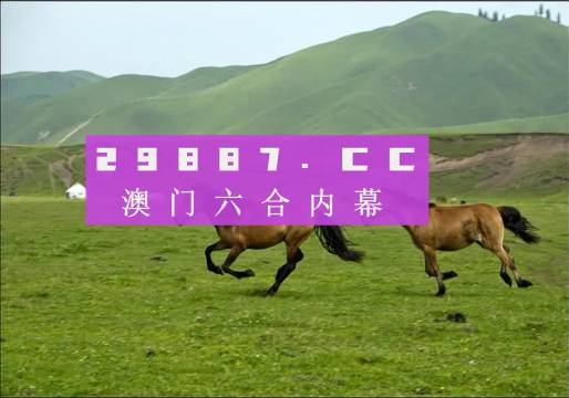 澳門跑狗圖,國(guó)際事務(wù)_百搭版73.952