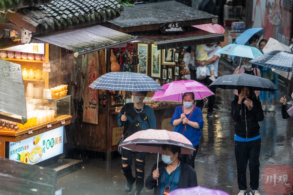 絲雨王姐最新探秘，小巷中的美食秘境