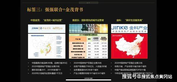 最新職業(yè)斗狗，趨勢、挑戰(zhàn)與深度解析