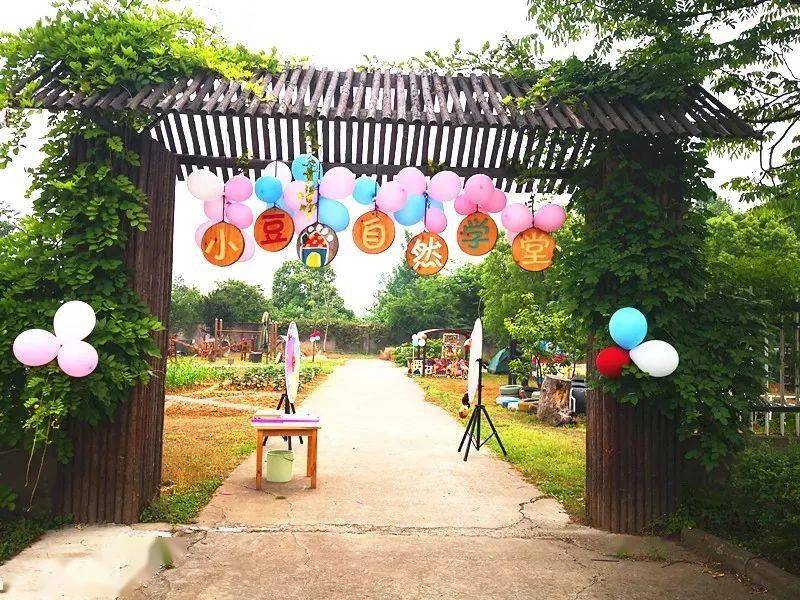 探索神秘樂園，獨特幼兒園之旅，遇見最新幼兒園教師