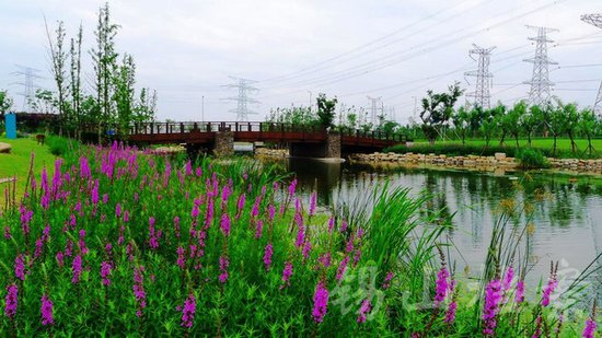 無錫錫東新城最新動(dòng)態(tài)，自然美景探索之旅，尋找內(nèi)心平和與寧靜的旅程