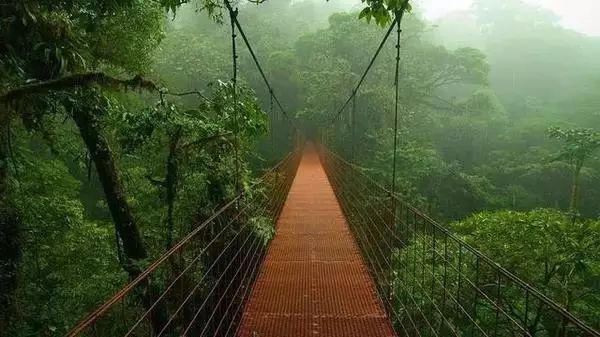 最新河道水情示意圖，自然美景的探索之旅啟動！