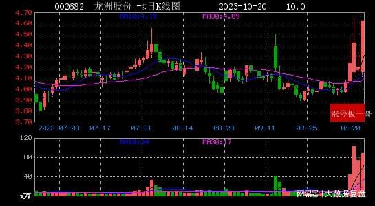 龍洲股份最新動(dòng)態(tài)與小巷深處的獨(dú)特風(fēng)味揭秘